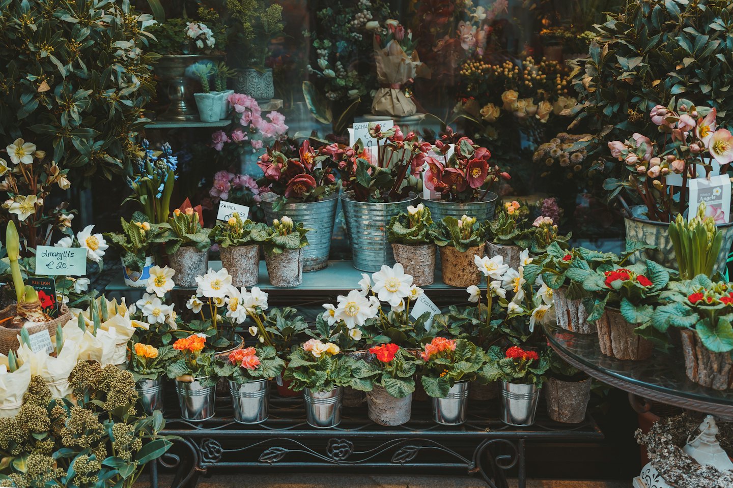 Flower shop window display with potted plants and cut flowers.