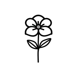 Floricultura Amor em Raízes